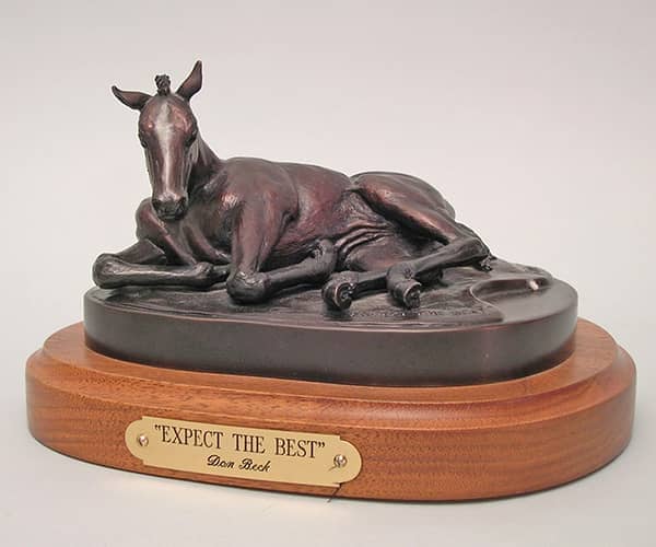 Equine bronze sculpture sfoal by bronze sculptor Don Beck | www.donbeckbronzes.com